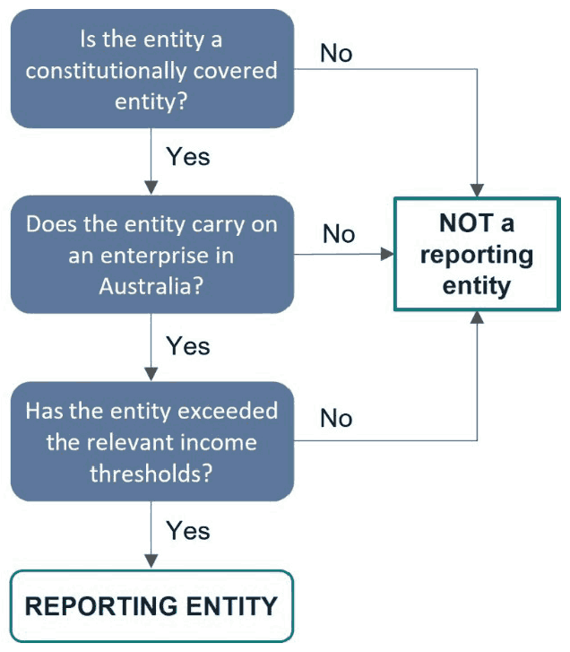 Flowchart identifying a reporting entity. Link to text description follows image.